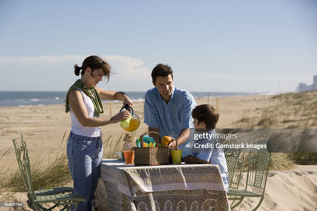 Family having a picnic on a beach