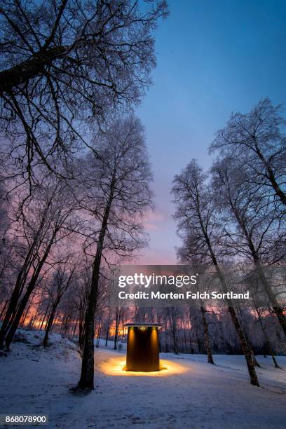 nightfall in the park - outhouse stock pictures, royalty-free photos & images