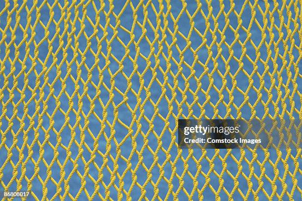 Netted Colour 301 Netted Texture Stock Photos, High-Res Pictures, and Images - Getty ...