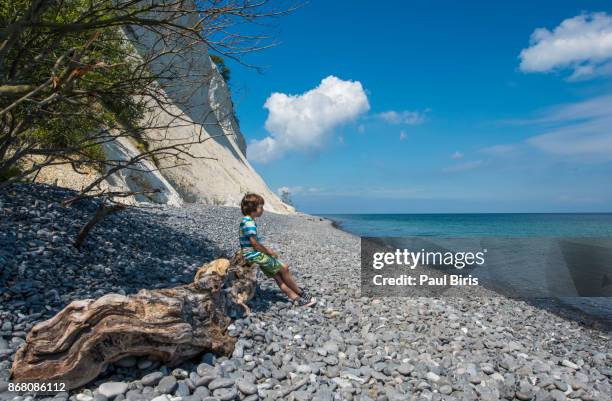 boy resting on an drift wood on pebble shore, mons klint, baltic sea, mon island, zealand region, denmark - pebble island stock pictures, royalty-free photos & images