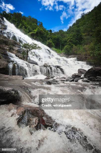 beautiful mae ya waterfall in chiangmai, thailand - shedd brook stock pictures, royalty-free photos & images