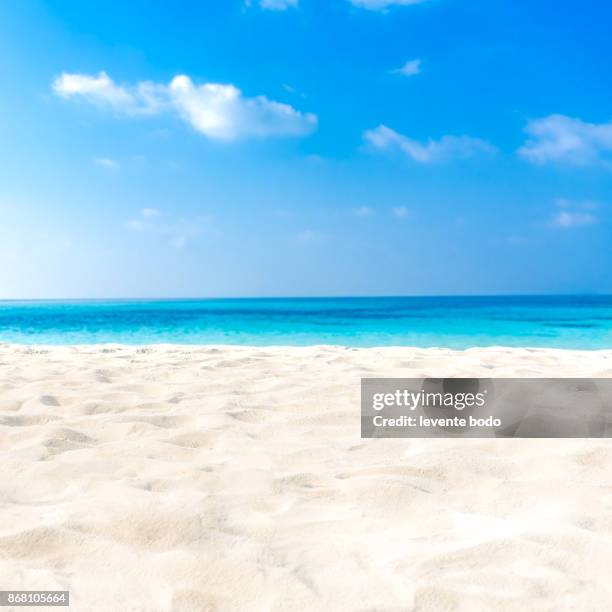 exotic tropical beach landscape for background or wallpaper. design of tourism for summer vacation holiday destination concept. - bare beach stock pictures, royalty-free photos & images