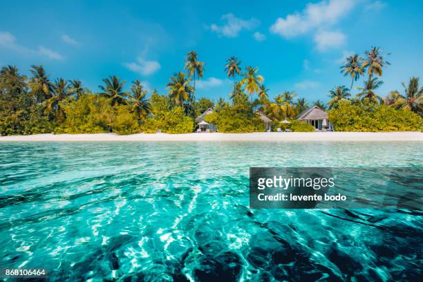 perfect beach view. summer holiday and vacation design. inspirational tropical beach, palm trees and white sand. tranquil scenery, relaxing beach, tropical landscape design. moody landscape - tropical climate stock-fotos und bilder