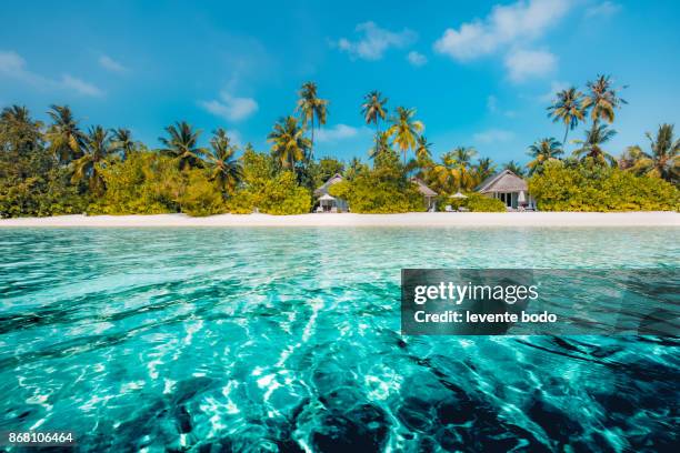 perfect beach view. summer holiday and vacation design. inspirational tropical beach, palm trees and white sand. tranquil scenery, relaxing beach, tropical landscape design. moody landscape - カリビアン ストックフォトと画像