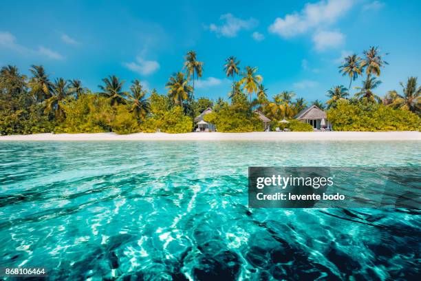 perfect beach view. summer holiday and vacation design. inspirational tropical beach, palm trees and white sand. tranquil scenery, relaxing beach, tropical landscape design. moody landscape - franse-overzeese-gebieden stockfoto's en -beelden