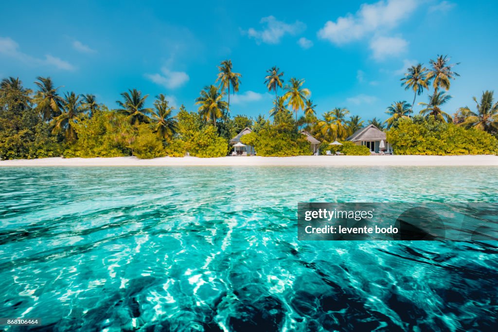 Perfect beach view. Summer holiday and vacation design. Inspirational tropical beach, palm trees and white sand. Tranquil scenery, relaxing beach, tropical landscape design. Moody landscape