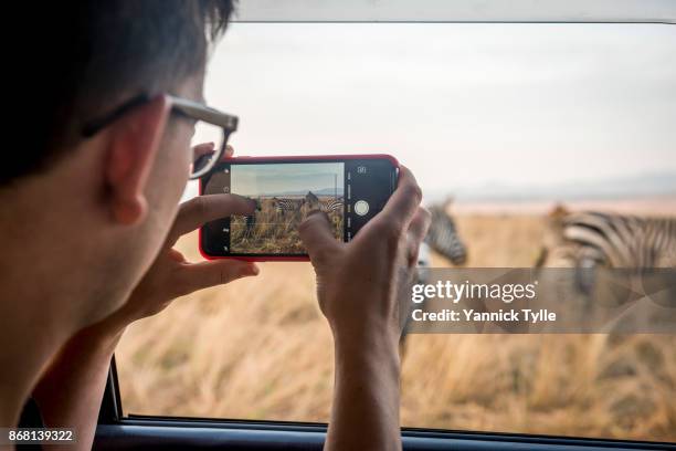 taking photos with a mobile phone during a safari in africa - grevys zebra stock pictures, royalty-free photos & images