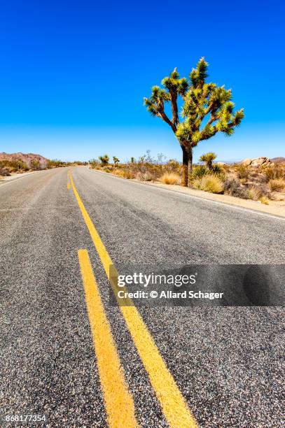 road through joshua tree national park - californië stock pictures, royalty-free photos & images