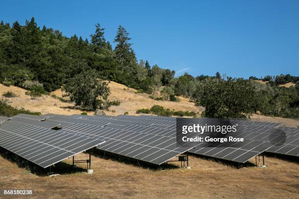 An array of solar panels at Peter Michael Winery, located at the base of Mount St. Helena in Knights Valley, is viewed on August 24 near Healdsburg,...