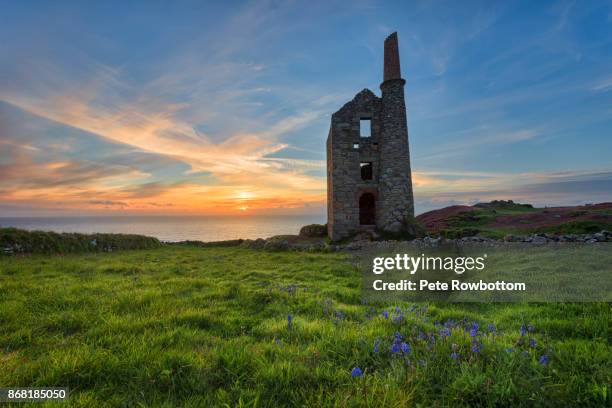 tin mine bluebells - land's end ストックフォトと画像