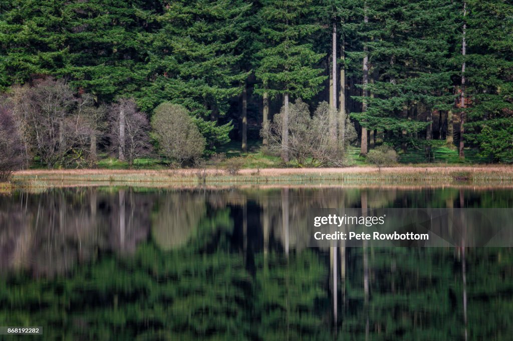 Autumn reflections