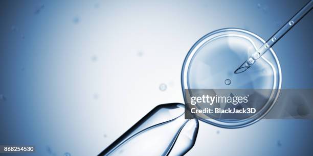 artificial insemination - cloning device stock pictures, royalty-free photos & images