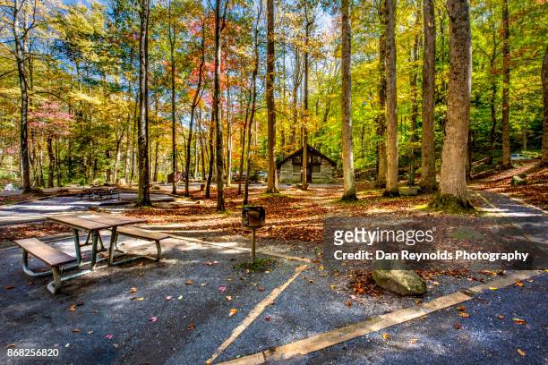 picnic area  in the great smokey mountains national park,usa - gatlinburg stock-fotos und bilder