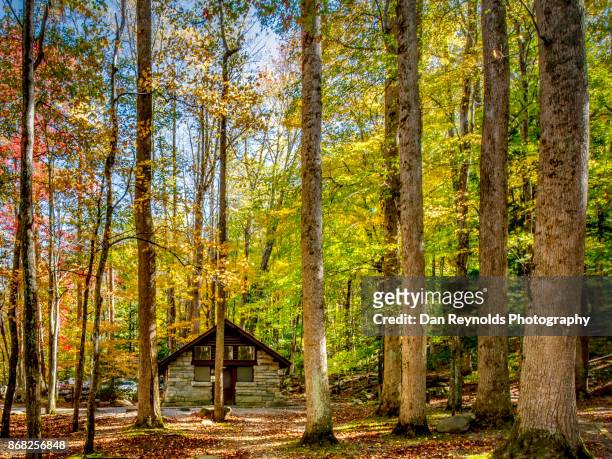 picnic area in forest of the great smokey mountains national park,usa - gatlinburg stock-fotos und bilder