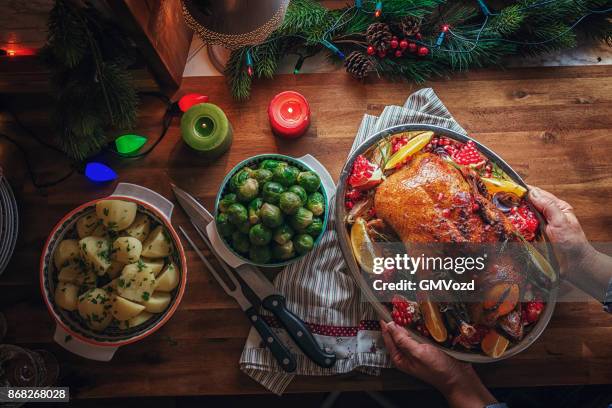 traditional christmas duck holiday dinner - turkey meat stock pictures, royalty-free photos & images