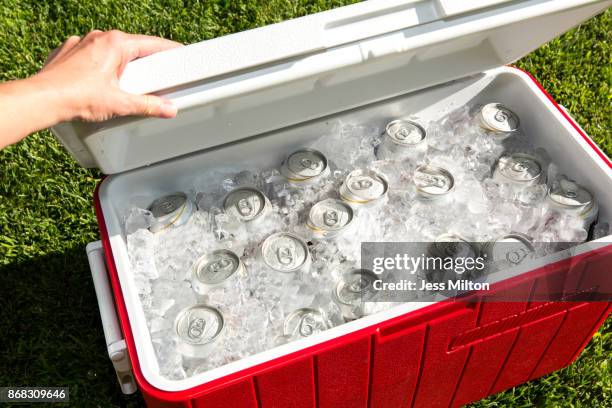 red cooler filled with beverage cans - cooler foto e immagini stock