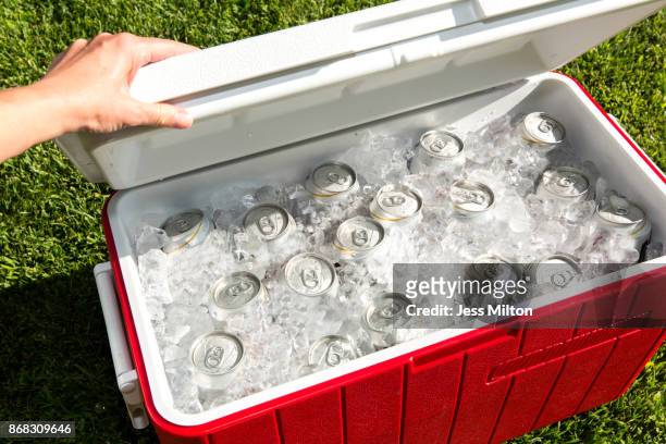 red cooler filled with beverage cans - ice bucket stock pictures, royalty-free photos & images