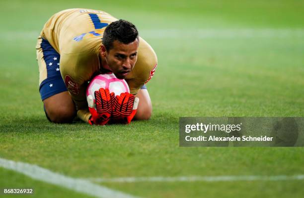 Fabio, goalkeeper of Cruzeiro in action during the match between Palmeiras and Cruzeiro for the Brasileirao Series A 2017 at Allianz Parque Stadium...