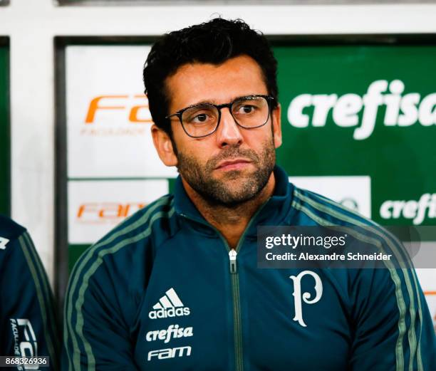 Alberto Valentim, head coach of Palmeiras in action during the match between Palmeiras and Cruzeiro for the Brasileirao Series A 2017 at Allianz...