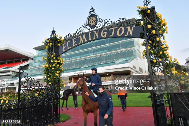 Thomas Hobson and Max Dynamite from the Willie Mullins stable are seen in the mounting yard during a trackwork session at Flemington Racecourse on...