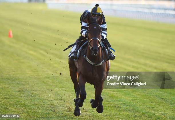 Brad Rawiller riding Improvise during a trackwork session at Flemington Racecourse on October 31, 2017 in Melbourne, Australia.