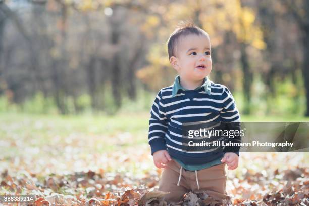 15 month old fraternal twin plays with leaves on an autumn day - european best pictures of the day october 15 2017 stock-fotos und bilder