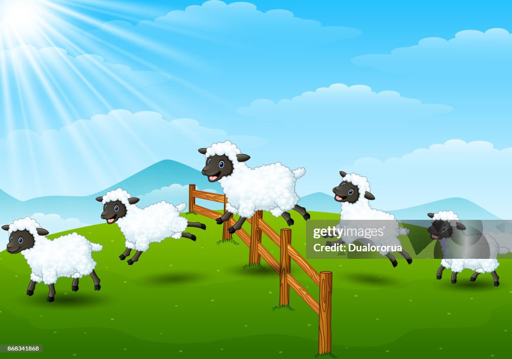 Cartoon Field Rations Cartoon Field Background