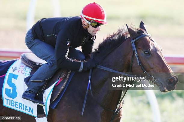 French jockey Olivier Peslier rides Tiberian during a trackwork session at Werribee Racecourse on October 31, 2017 in Melbourne, Australia.