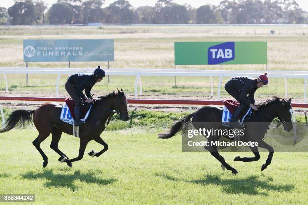 Rekindling gallops behind US Army Ranger during a trackwork session at Werribee Racecourse on October 31, 2017 in Melbourne, Australia.