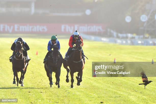 Regan Bayliss riding Harlem, Kerrin McEvoy riding Eshtiraak and Freddie Lenclud riding Justice Faith during a trackwork session at Flemington...