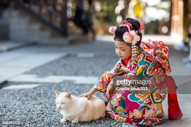 a young japanese girl dressed in a traditional kimono petting a cat - shichi go san stock pictures, royalty-free photos & images