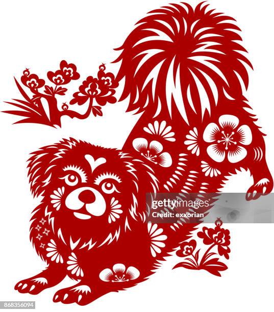 74 Tibetan Spaniel Photos and Premium High Res Pictures - Getty Images 74 Tibetan Spaniel Photos and Premium High Res Pictures - Getty Images