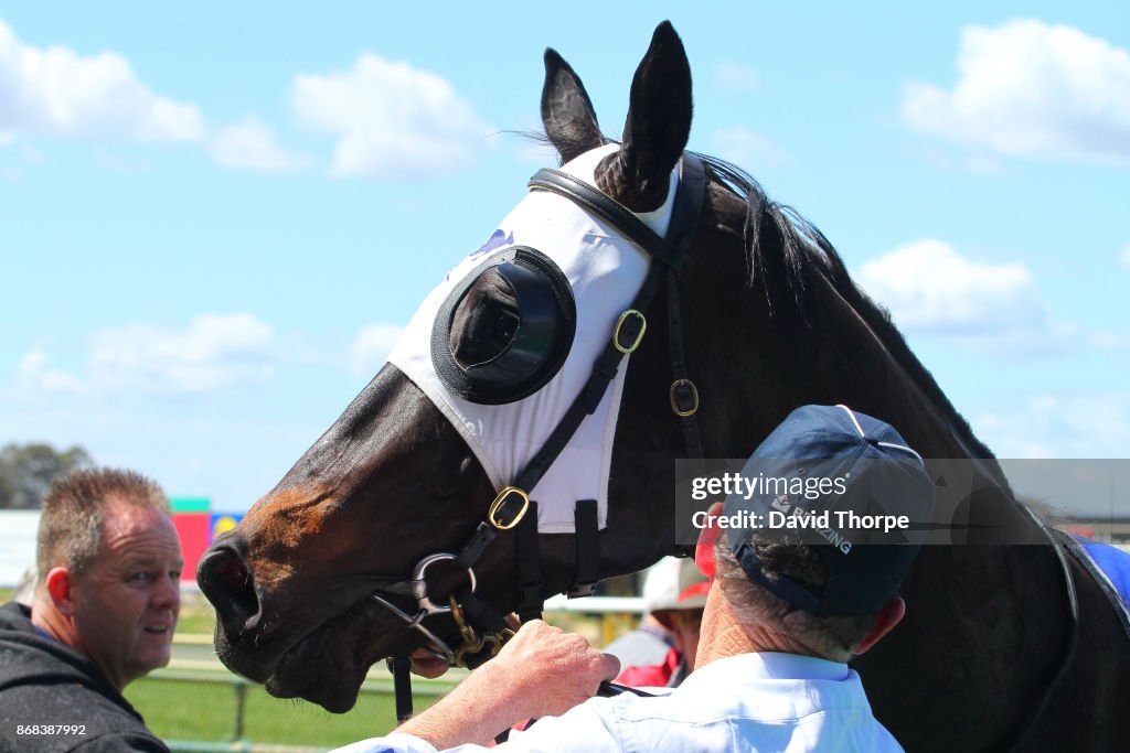 Specsavers Benalla Maiden Plate