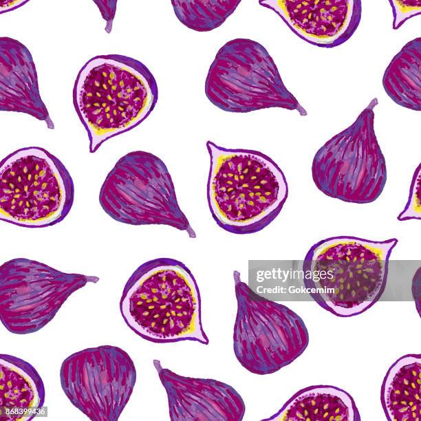 424点のイチジクイラスト素材 Getty Images 424点のイチジクイラスト素材 Getty Images