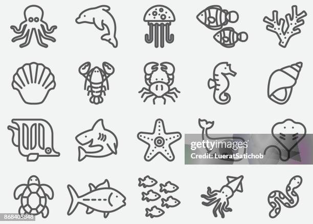 illustrazioni stock, clip art, cartoni animati e icone di tendenza di icone della linea ocean animals - shrimp animal