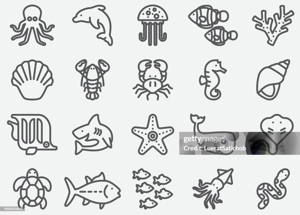 Ocean Animals Line Icons