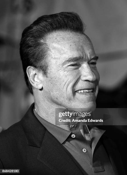 3,617 Schwarzenegger Headshot Stock Photos, High-Res Pictures, and