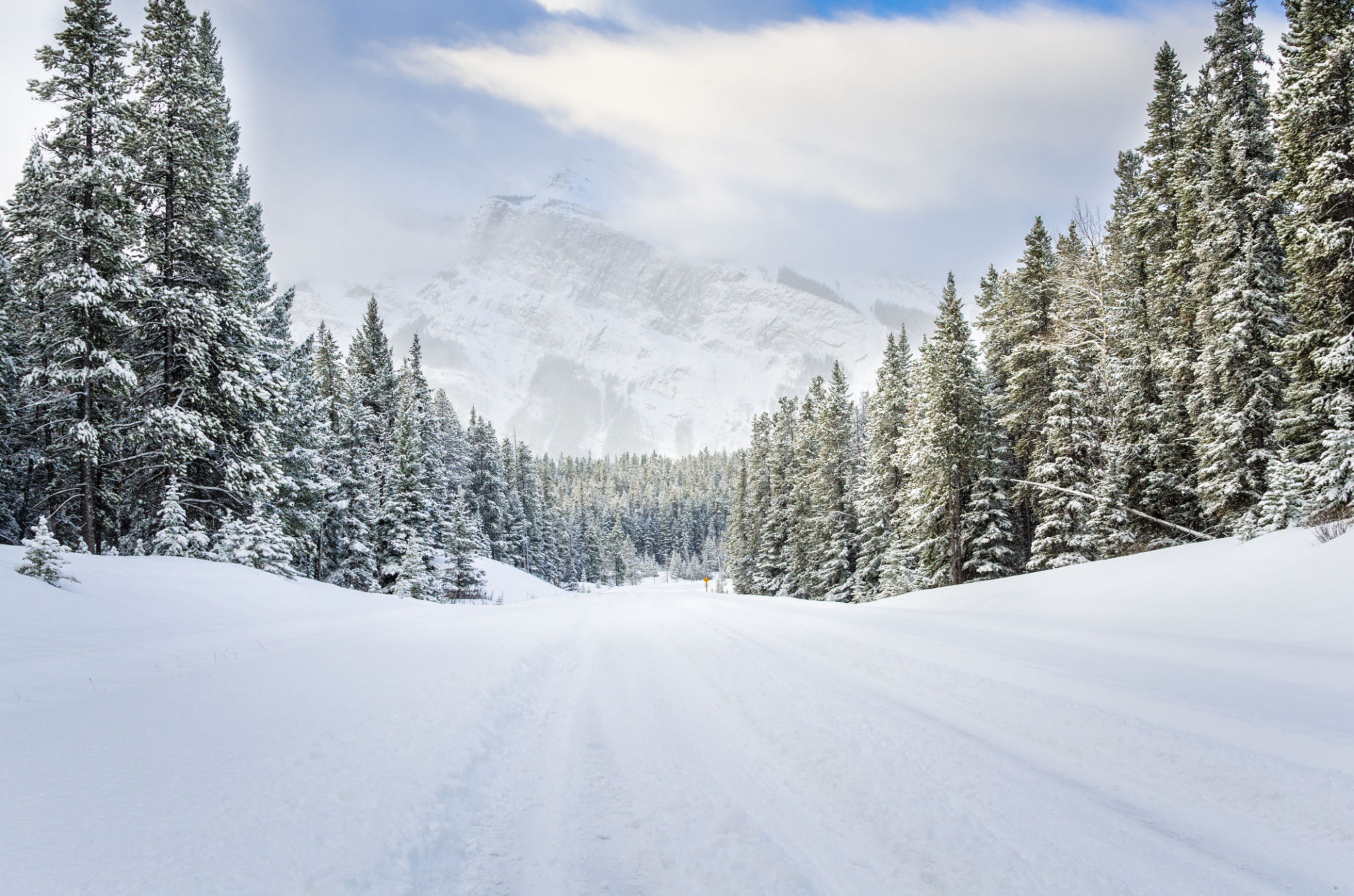 snowy road