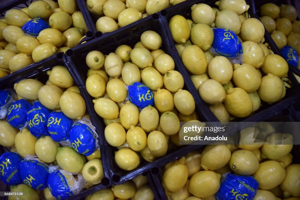 Lemon production in Turkey's Mersin