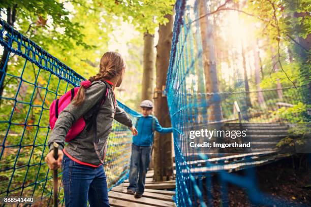 brother and sister hikers walking on rope bridge - rope bridge stock pictures, royalty-free photos & images