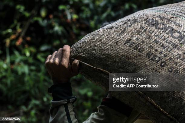 Coffee picker carries a sack of coffee at a plantation in a mountainous area near Ciudad Bolivar, Antioquia department, Colombia on October 18, 2017....