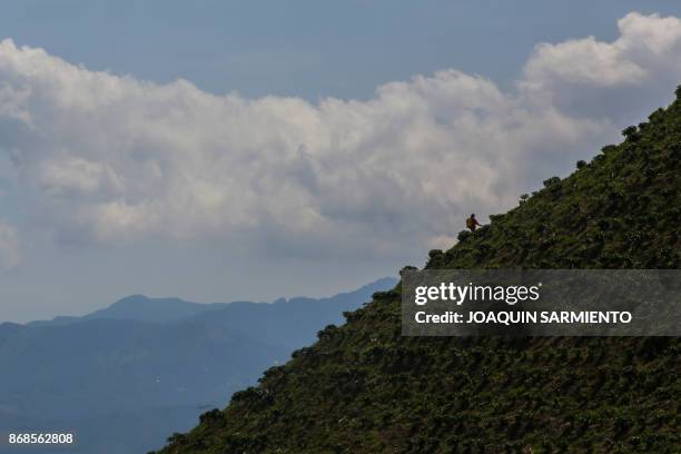 Worker fumigates a coffee plantation in the mountainous area near Ciudad Bolivar, Antioquia department, Colombia on October 18, 2017. October is the...