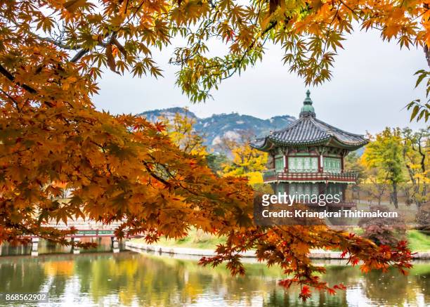 autumn colors around gyeongbokgung palace in south korea. - corea del sur fotografías e imágenes de stock