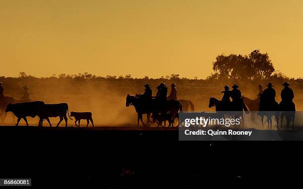 The droving team heads off from camp during the Great Australian Cattle Drive preview on May 7, 2009 in Oodnadatta, Australia. The Great Australian...