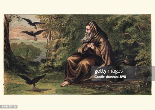 hermit and the crows - druidism stock illustrations