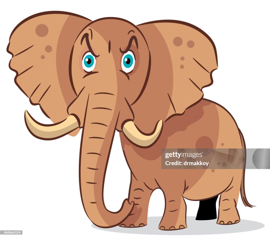 Angry elephant