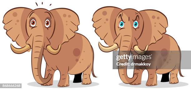 elephant - south africa bangladesh stock illustrations
