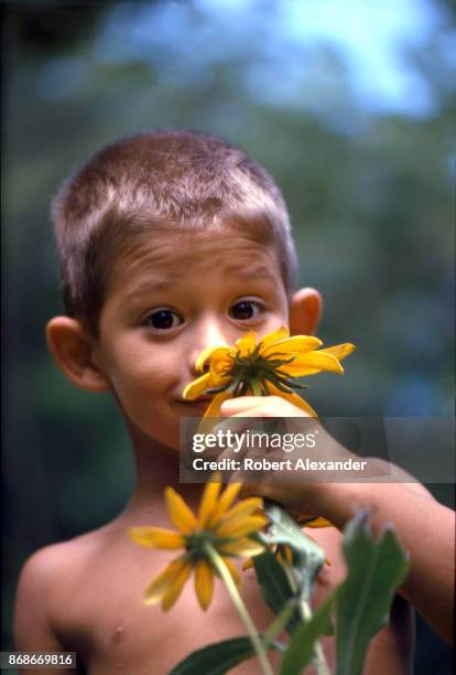 Young boy poses with a sunflower beside his home in Bristol, Tennessee, in 1967.