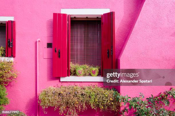 two flower pots with hearts on the window sill of a vibrant pink house - nobody loves you stock pictures, royalty-free photos & images