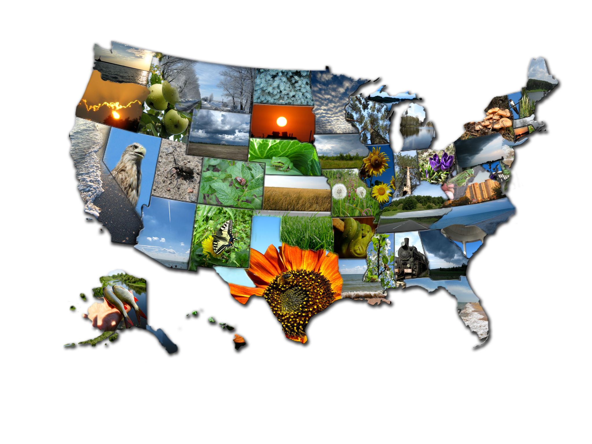 planning travel usa